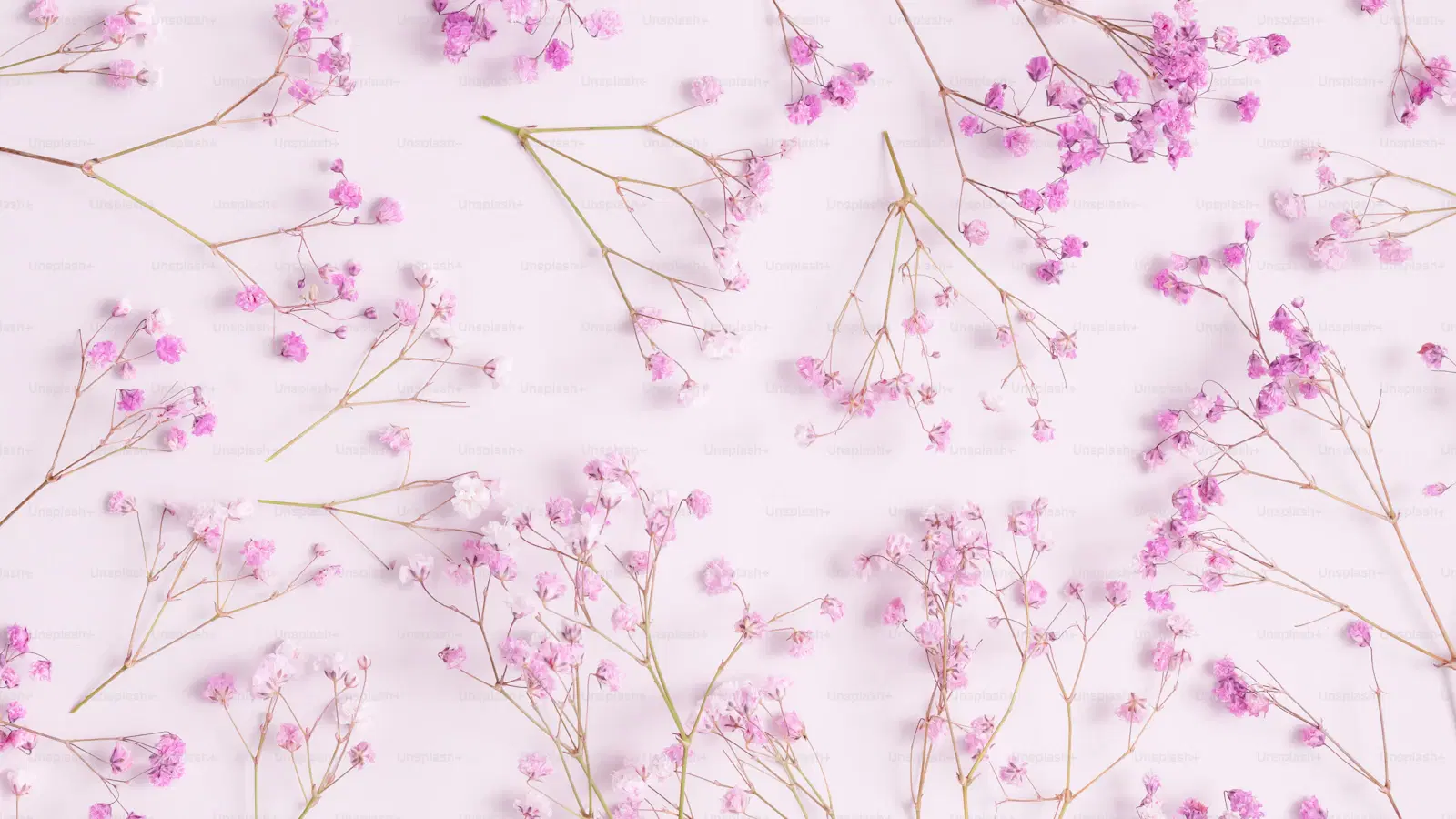 Visual timeline of Femboy Friday tag usage — early Reddit threads in 2017-2018, Twitter spread in 2019, and pandemic-era peak in 2020-2021