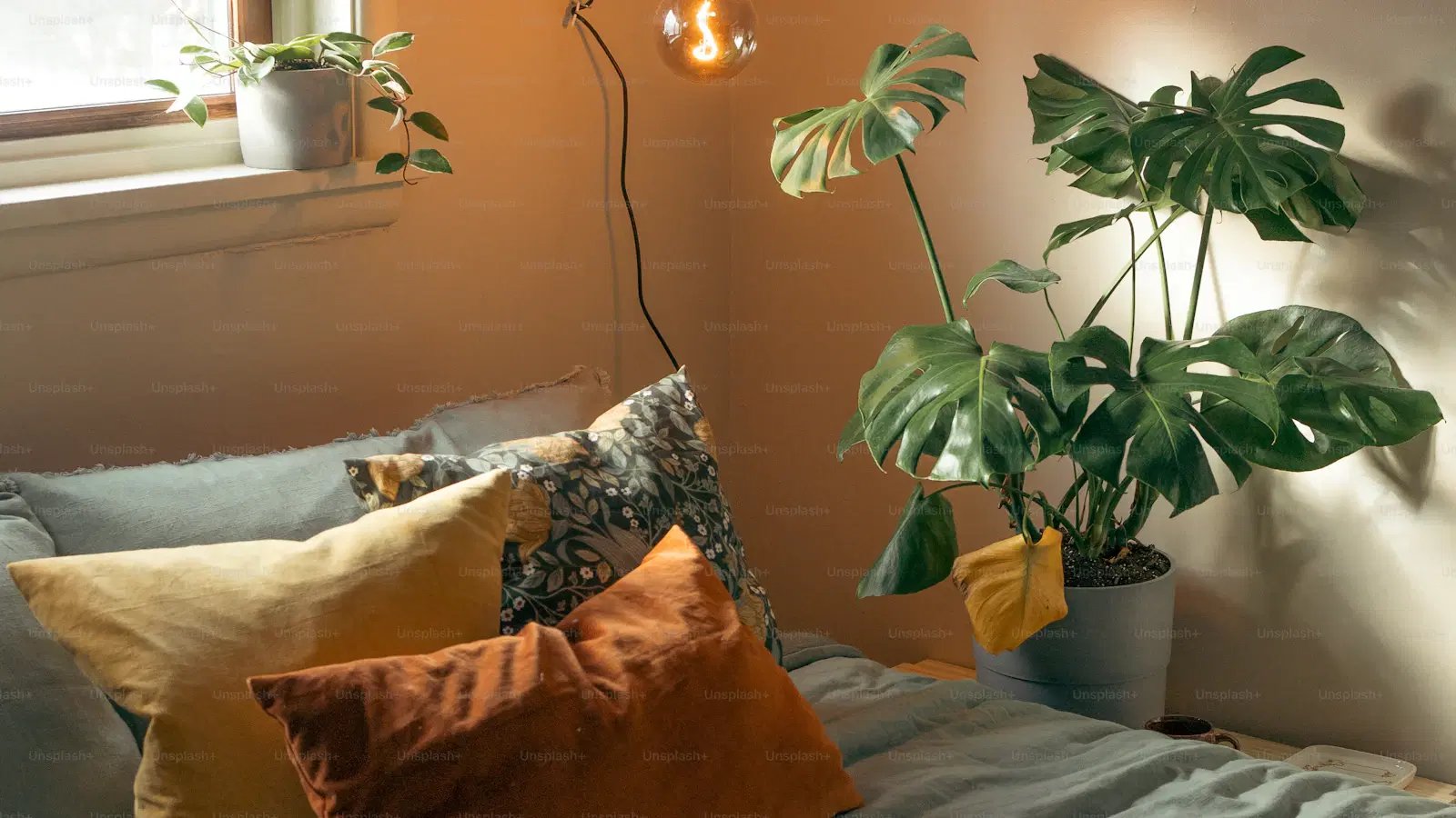 Male laser hair removal candidate chart — hair color and Fitzpatrick skin tone combinations showing which laser type fits each profile